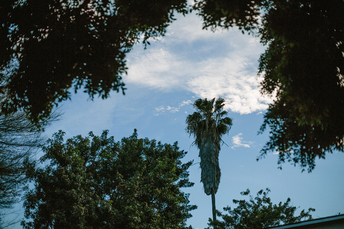 Jonas_Seaman_JeronSheihaPost_1038